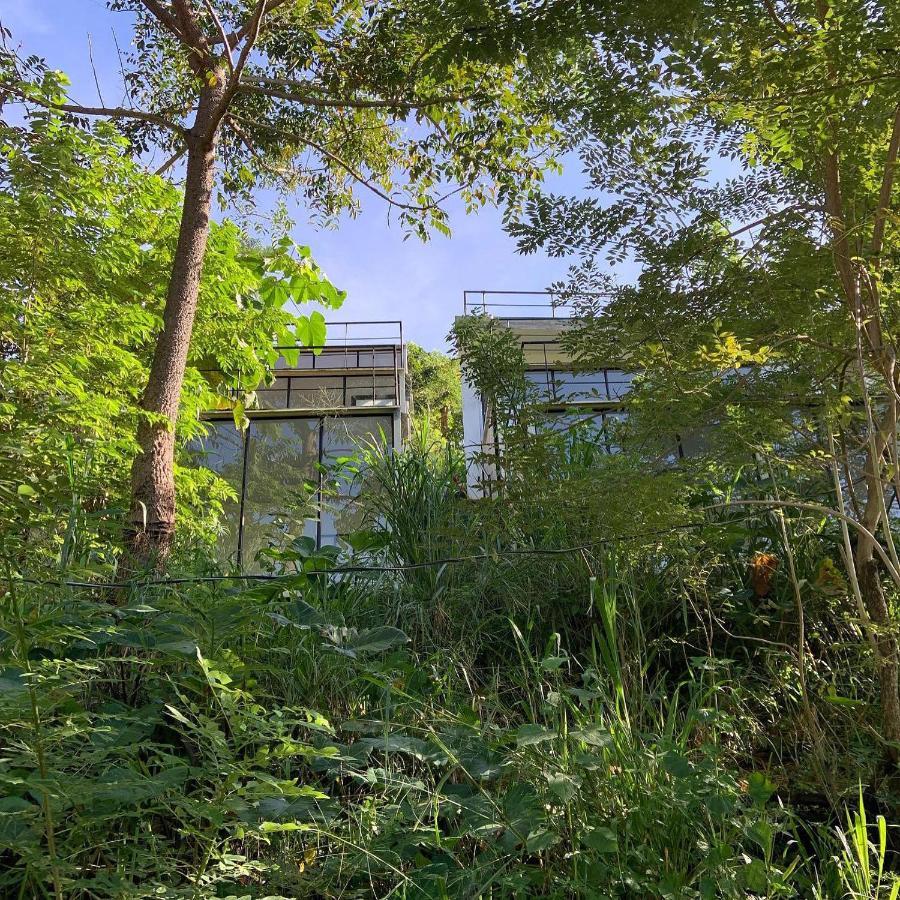 Minca Seasons Birds Hostel Eksteriør bilde